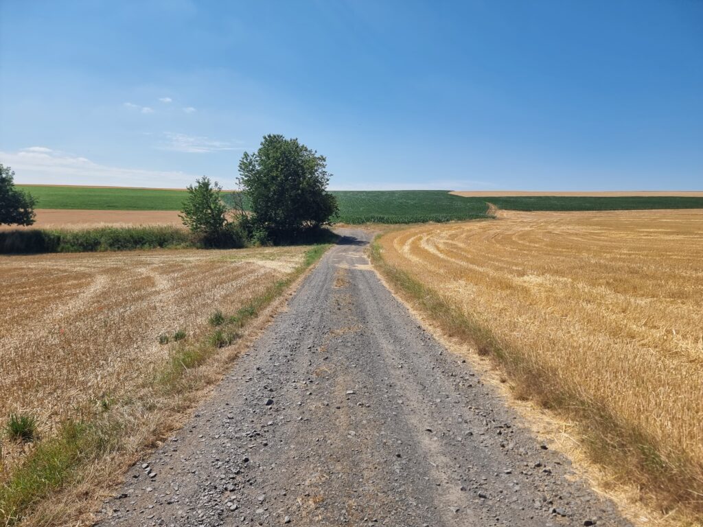 Feldweg bei Andernach