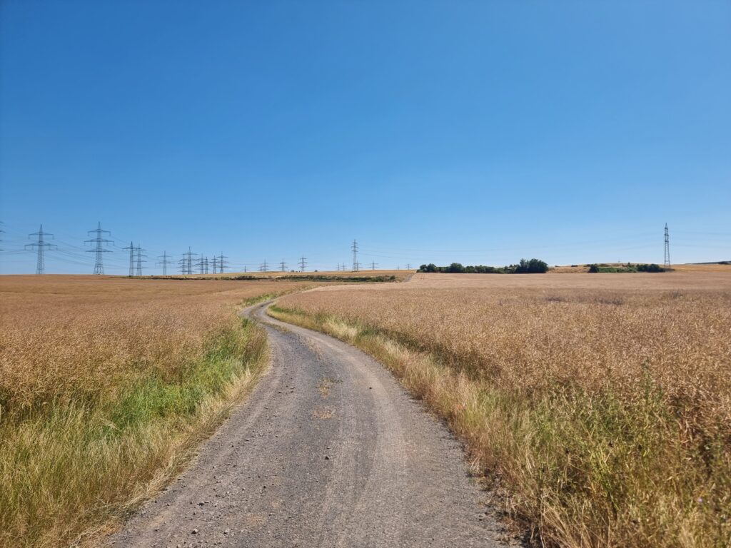 Feldweg bei Andernach