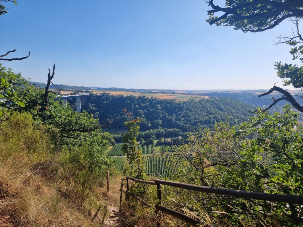 Das Moseltal