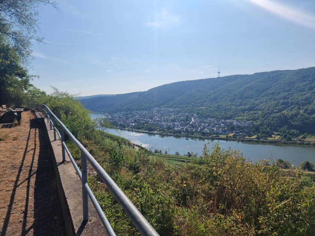 Blick zur Mosel