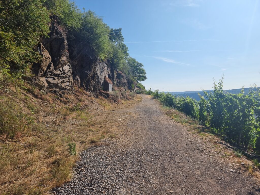 Wirtschaftsweg an Weinhang