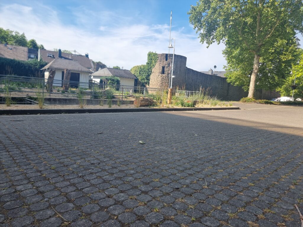 Historische Stadtmauer Rhens