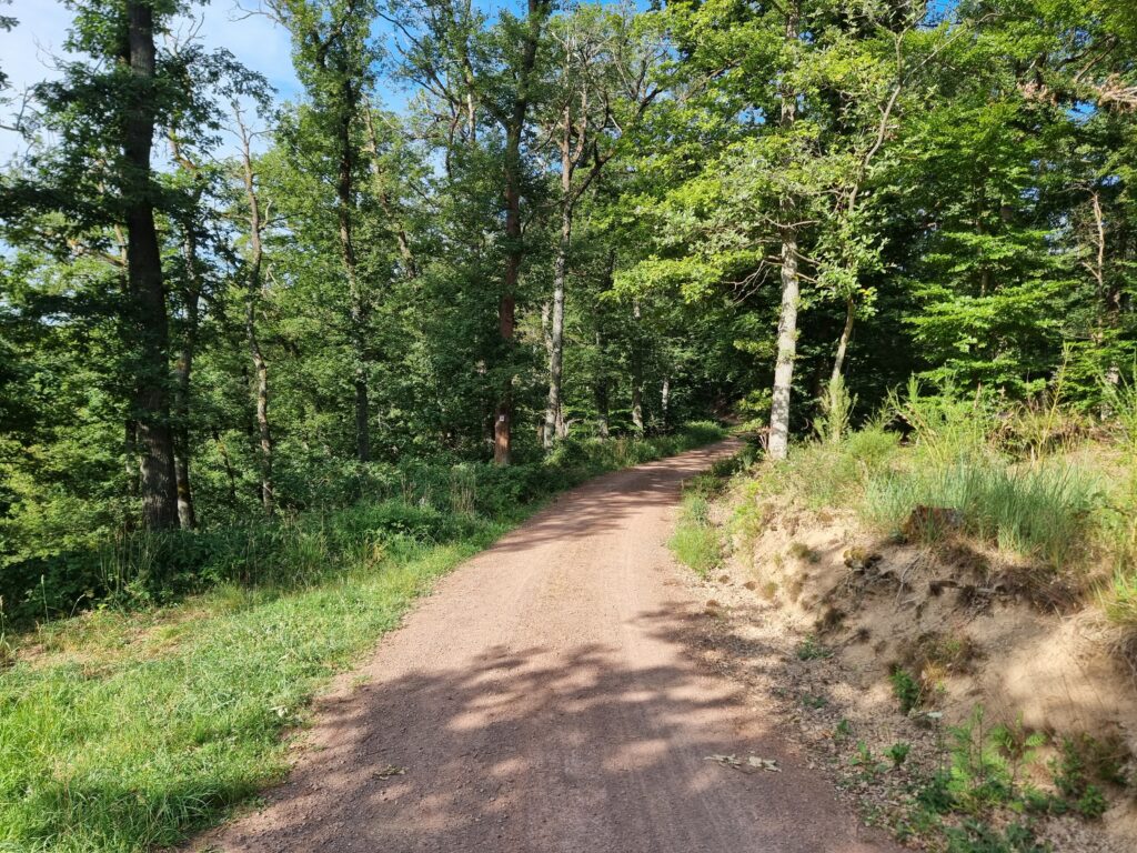 Waldweg