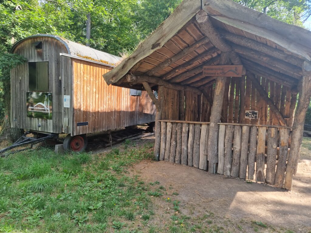 Köhlerhütte bei Boppard