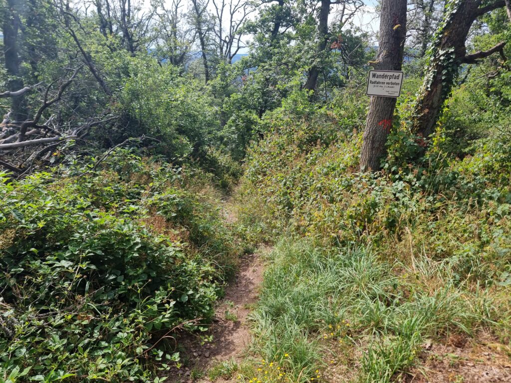 Schmaler Wanderpfad