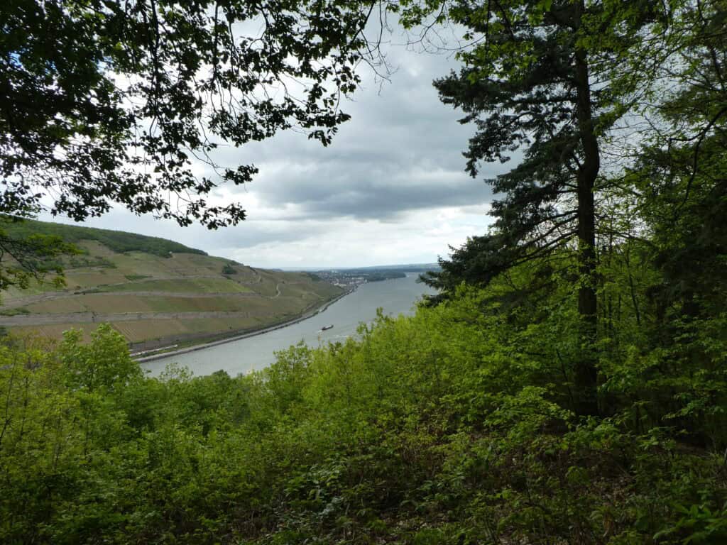 Blick auf den Rhein bei Bingen