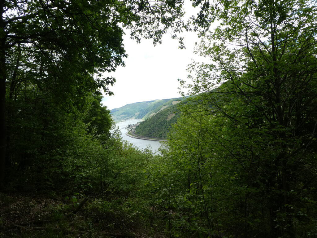 Aussicht auf den Rhein bei Bingen