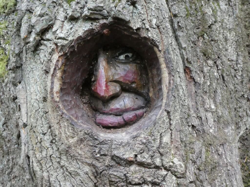 Baumschnitzerei in der Steckenschlääferklamm