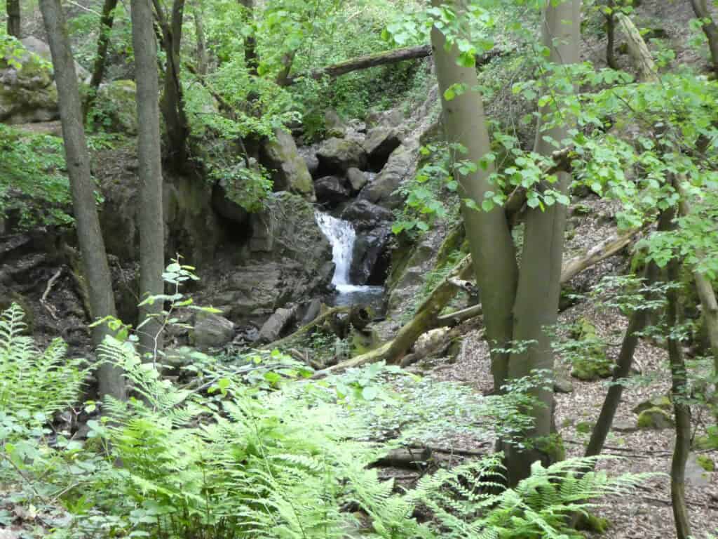 Wasserfall im Morgenbachtal