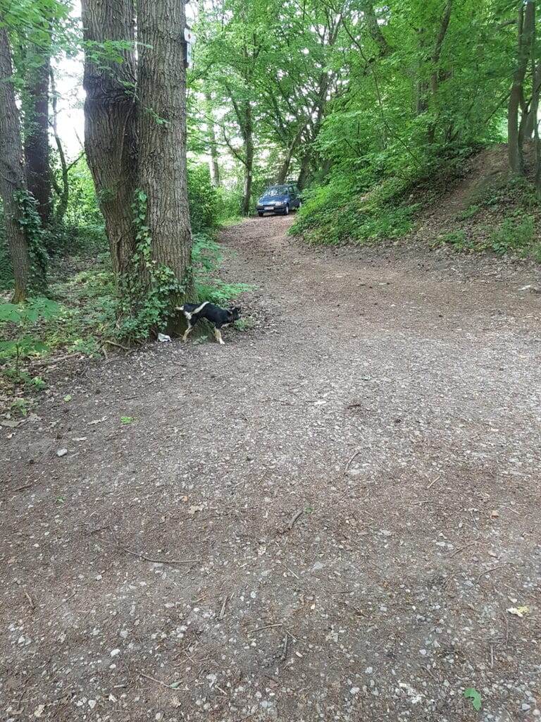 Schwarzwald Westweg Pforzheim