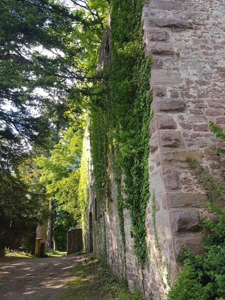 Schloss Neuenbürg Schwarzwald