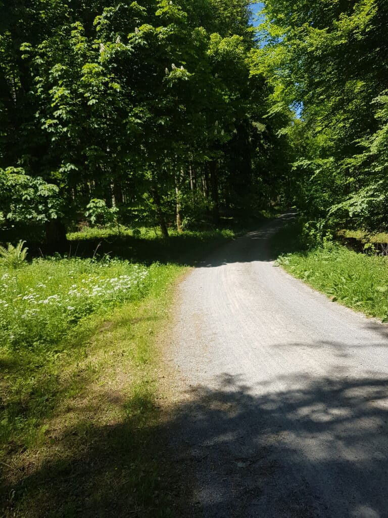 Schwarzwald Westweg 