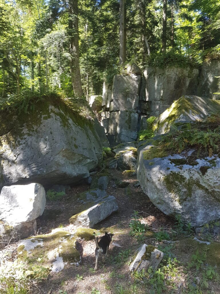 Volzemer Stein Schwarzwald