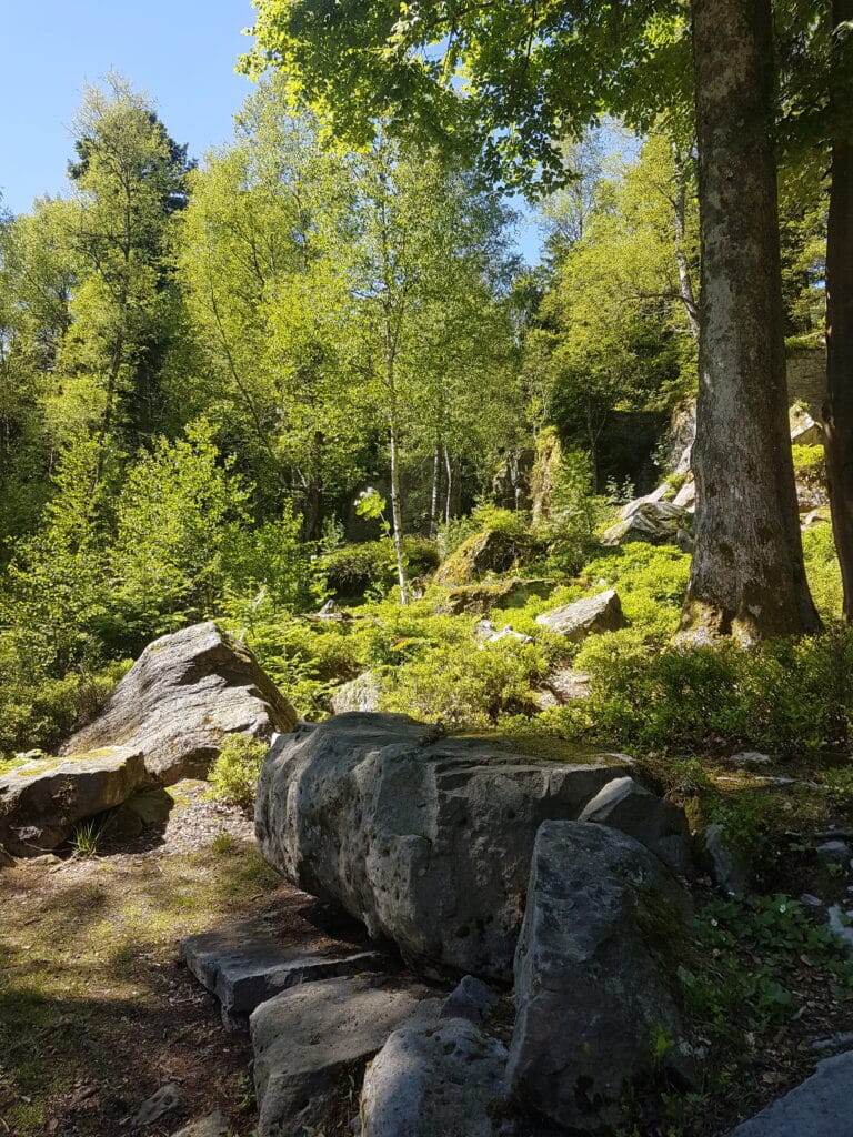 Schwarzwald Westweg Volzemer Stein