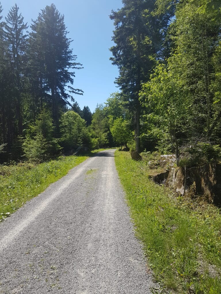 Schwarzwald Westweg 