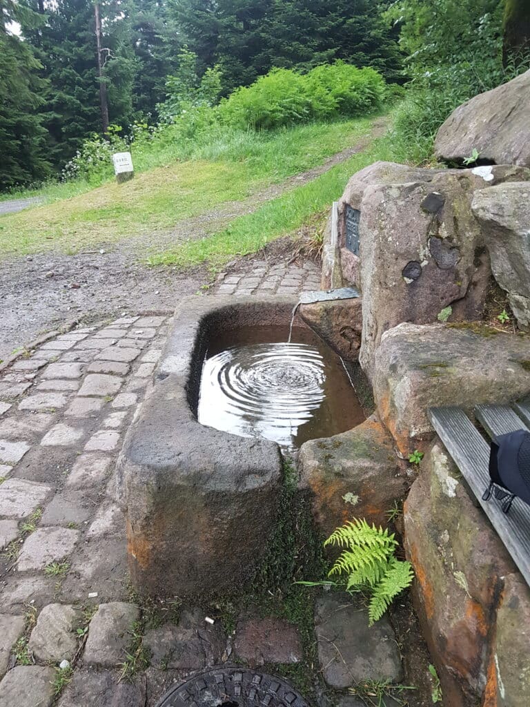 Brunnen Hahnenpfalzhütte Schwarzwald