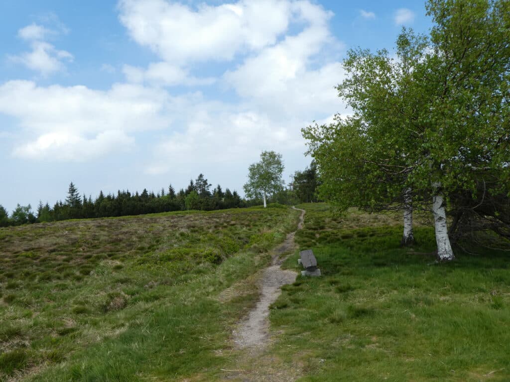 Hochkopf Schwarzwald