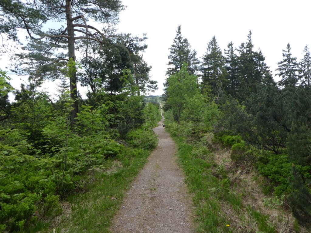 Schwarzwald Schliffkopf