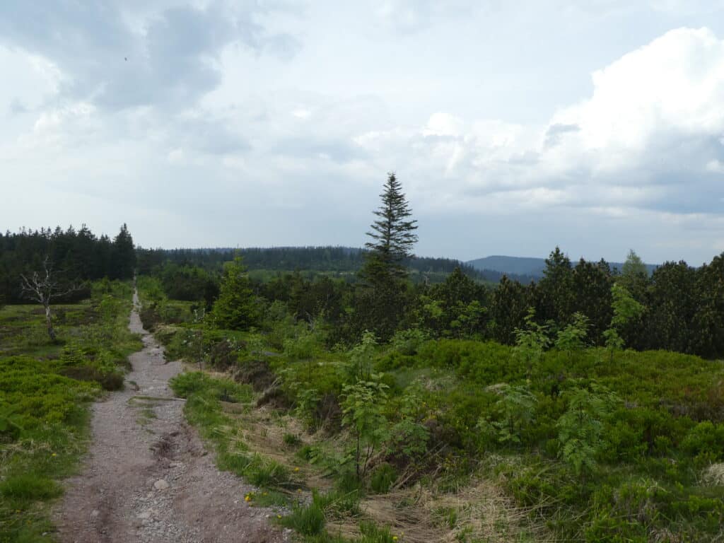Schwarzwald Westweg
