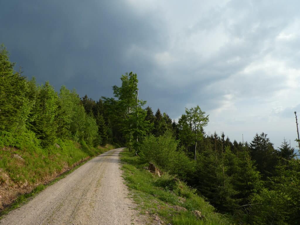 Schwarzwald Westweg