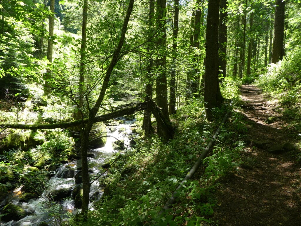Elzfälle