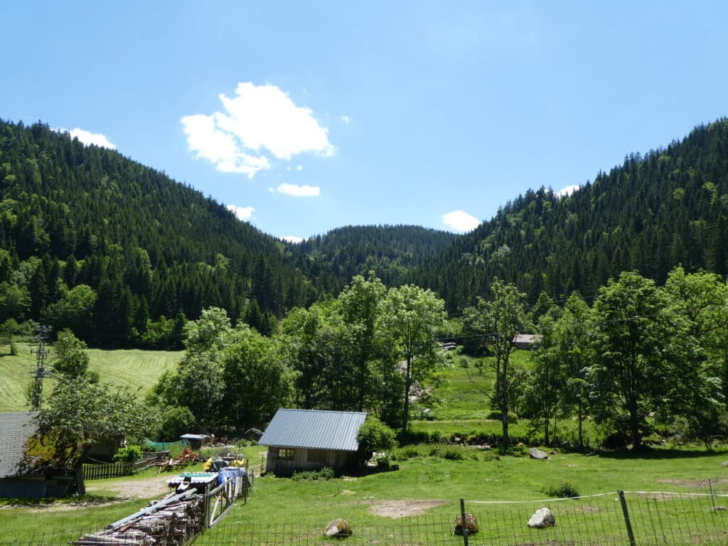 Bauernhof im Schwarzwald