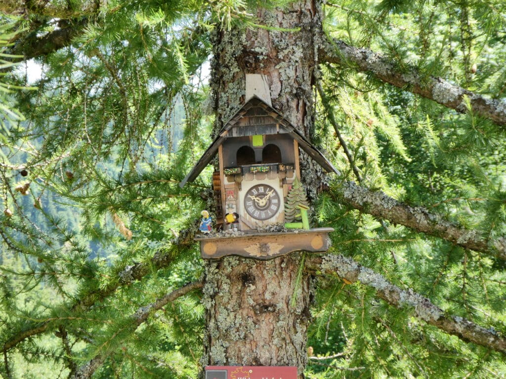 Kuckucksuhr im Schwarzwald