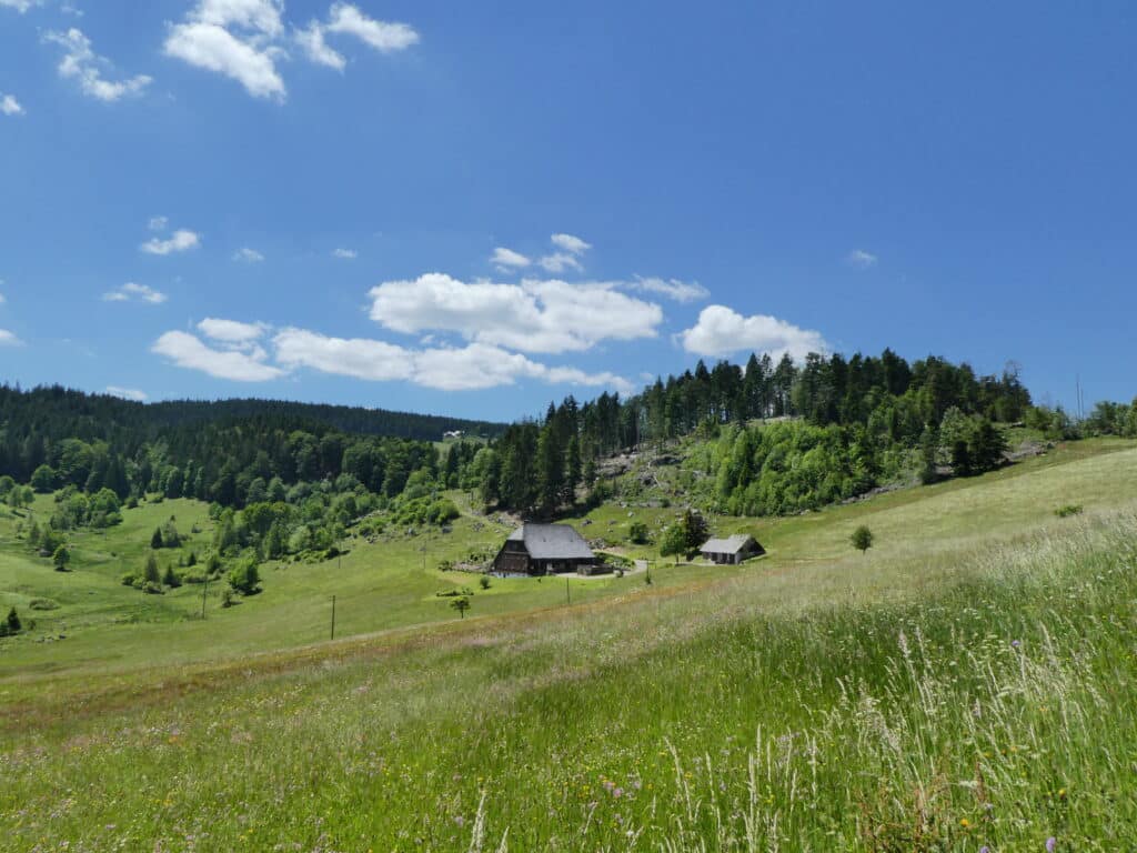 Bauernhof im Schwarzwald