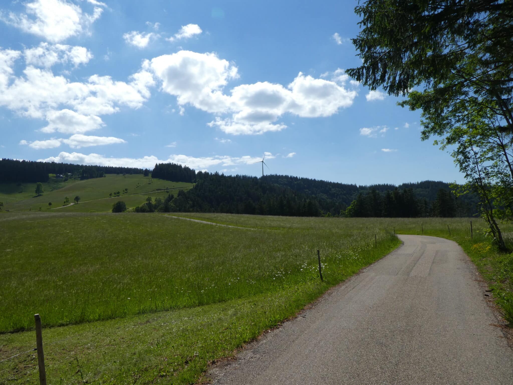 Wanderweg Schwarzwald Uhrwaldpfad