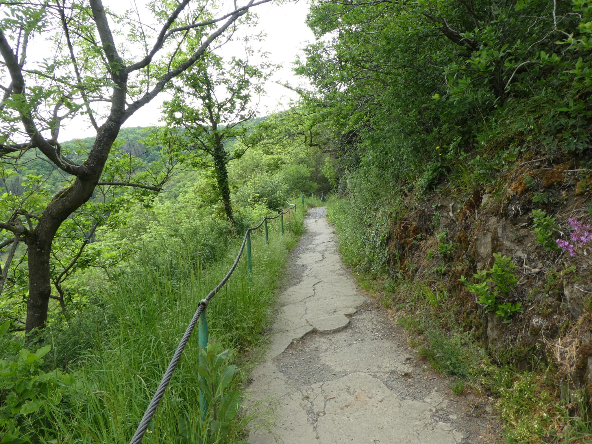 Rotweinwanderweg