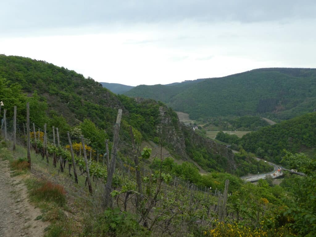 Ahrtal Rotweinwanderweg