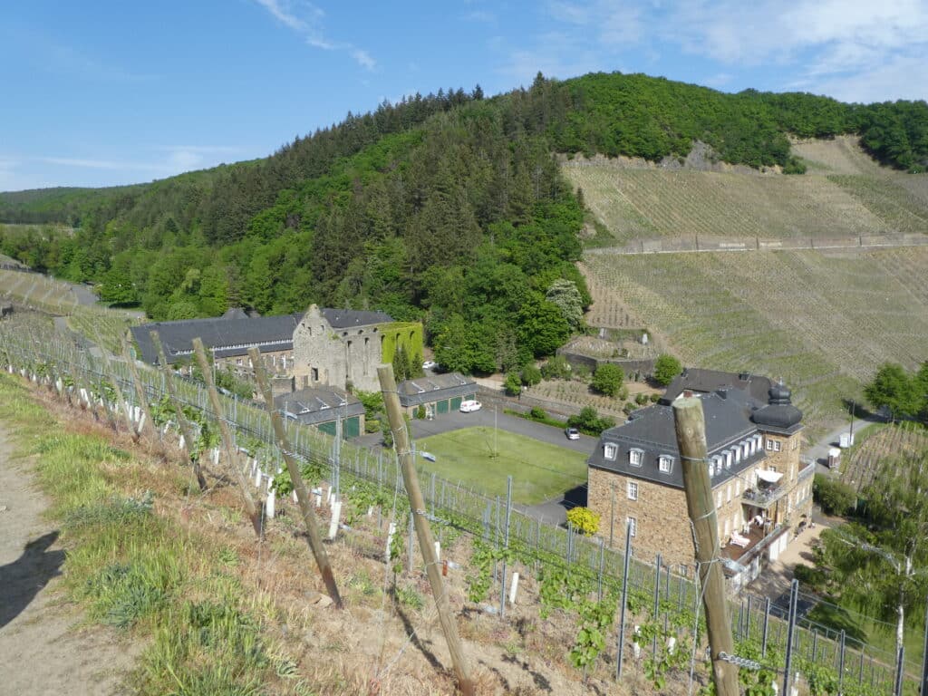 Kloserruine Marienthal