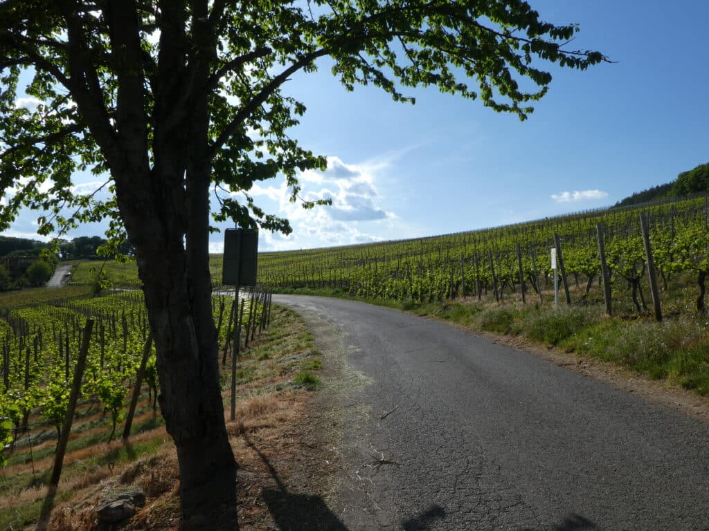 Rotweinwanderweg