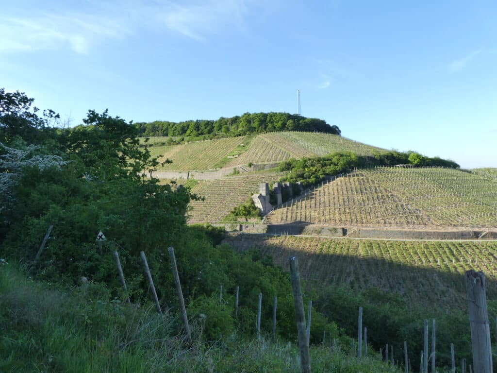 Rotweinwanderweg alte Brückenpfeiler