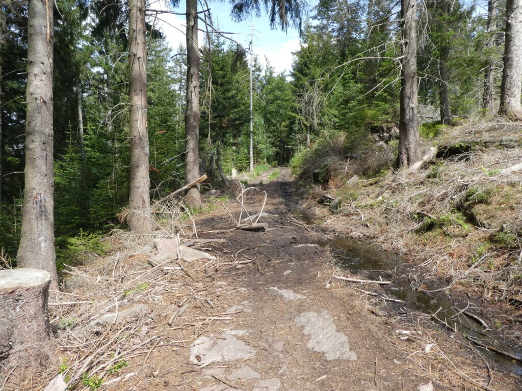 Westweg Schwarzwald