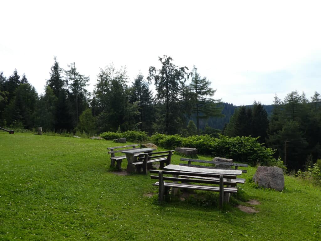 Hahnenpfalzhütte Schwarzwald