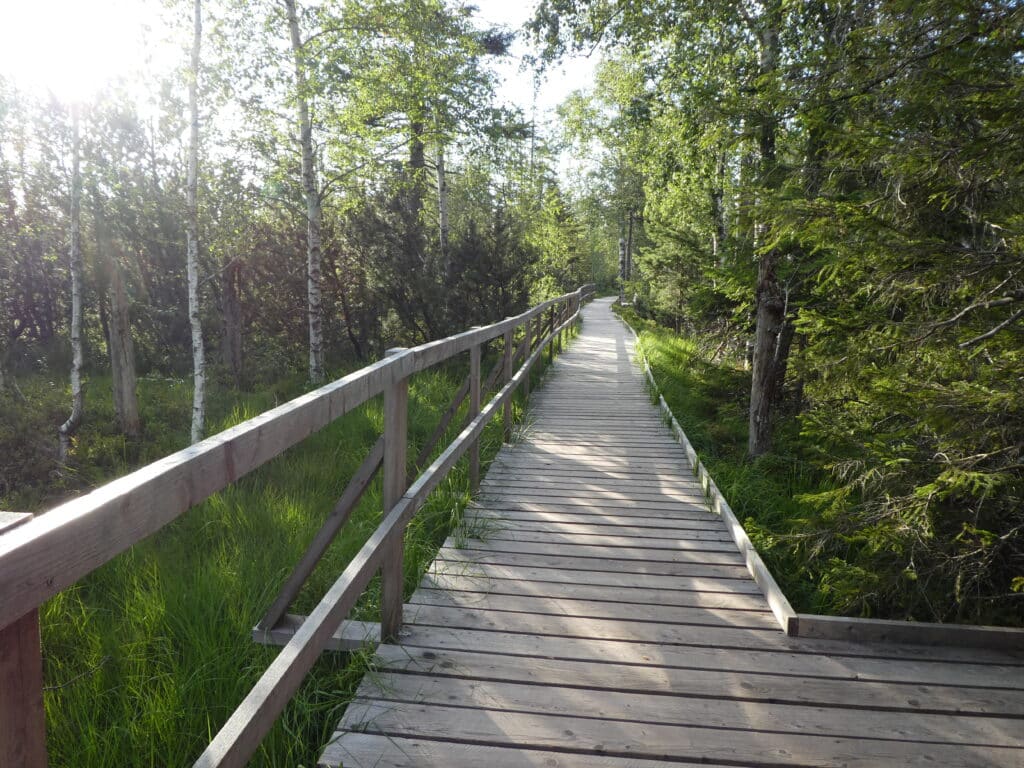 Westweg SchwarzwaldHohlohmoor