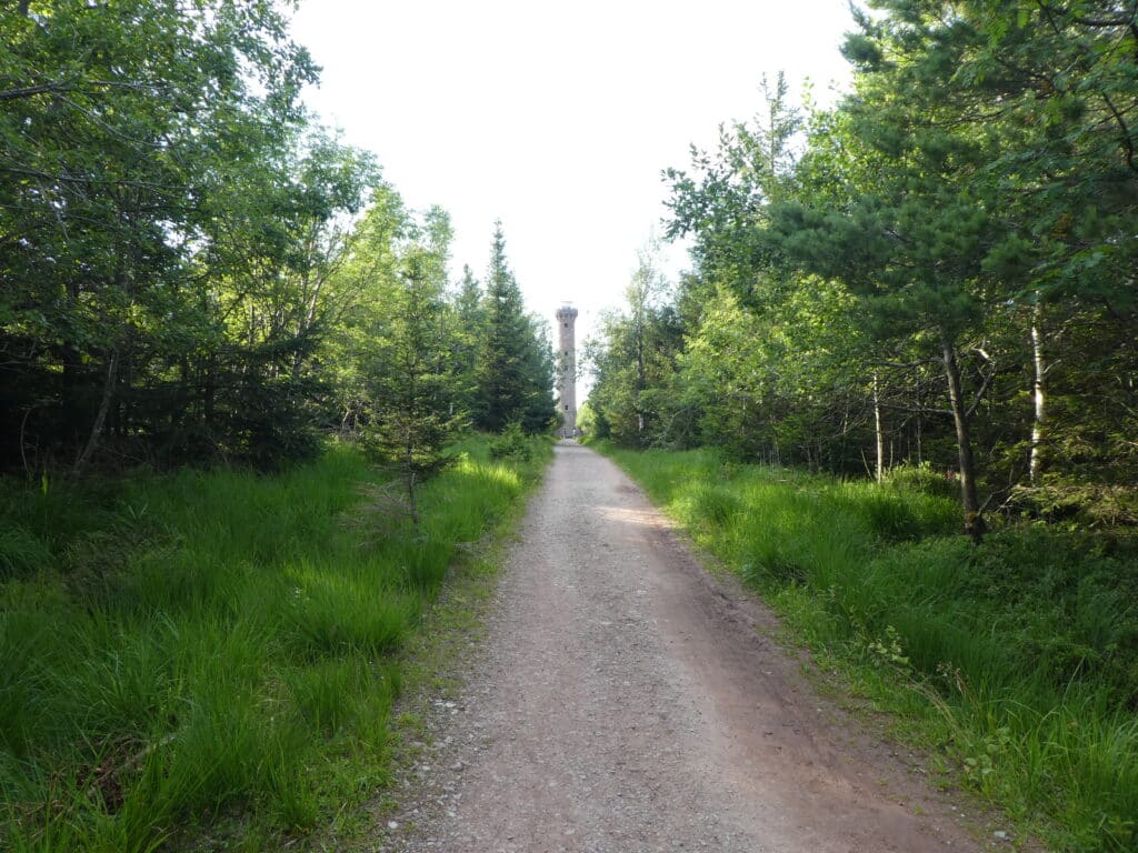Westweg Schwarzwald Hohlohturm