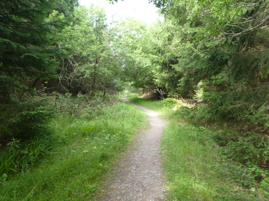 Westweg Schwarzwald