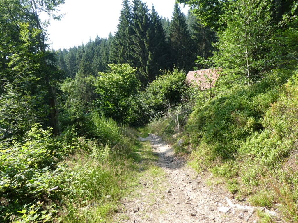 Westweg Schwarzwald