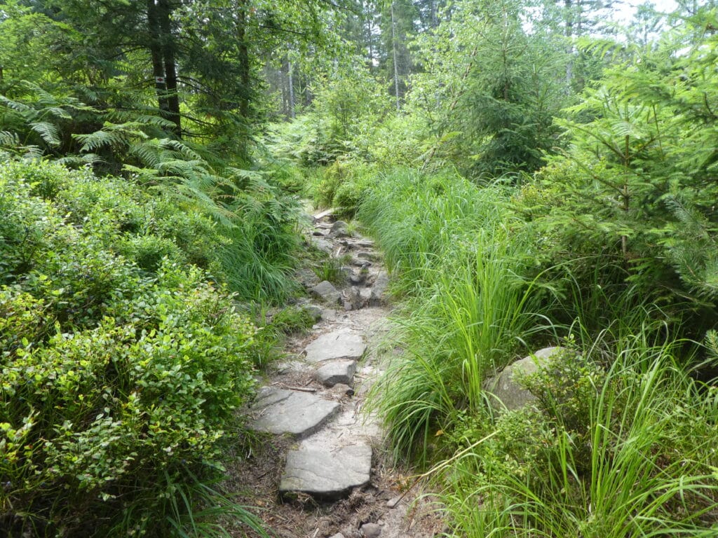 Westweg Badener Höhe