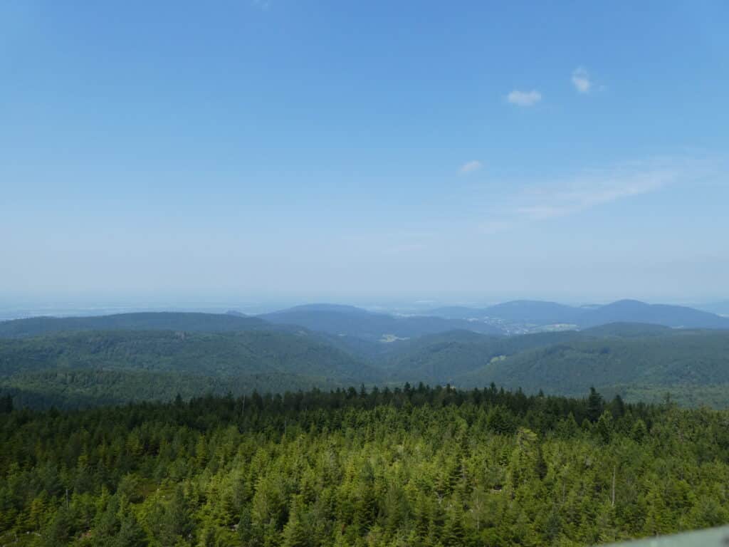 Aussicht Westweg Badener Höhe
