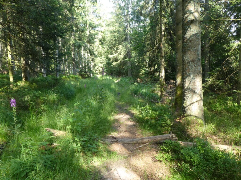 Westweg