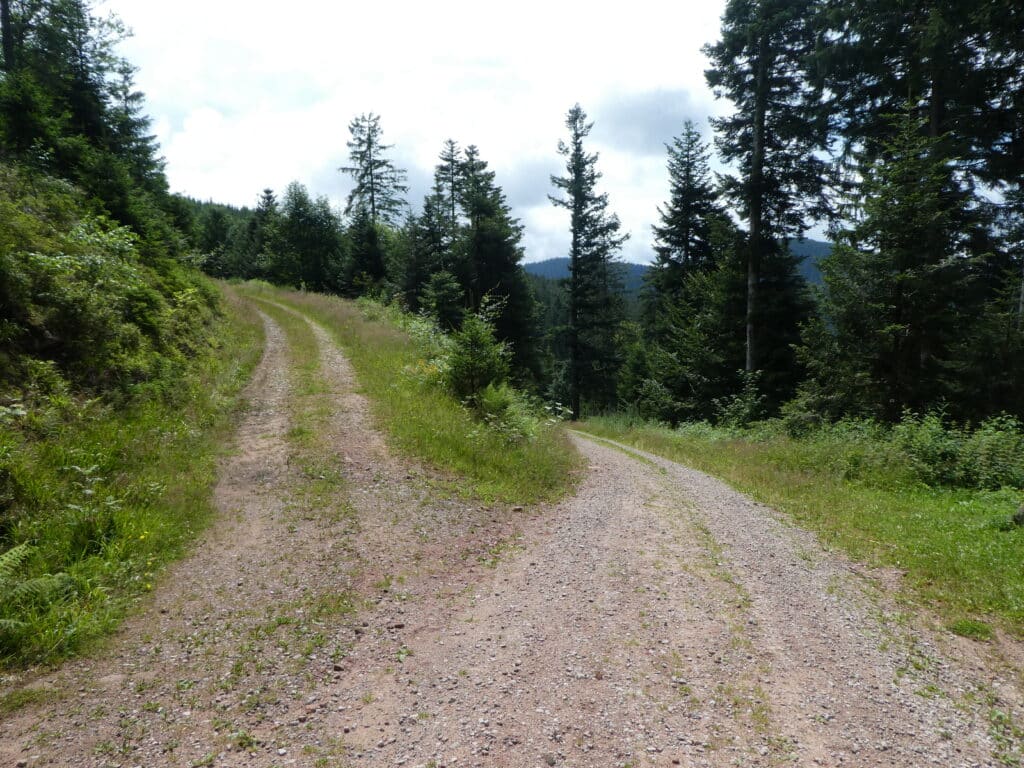 Westweg