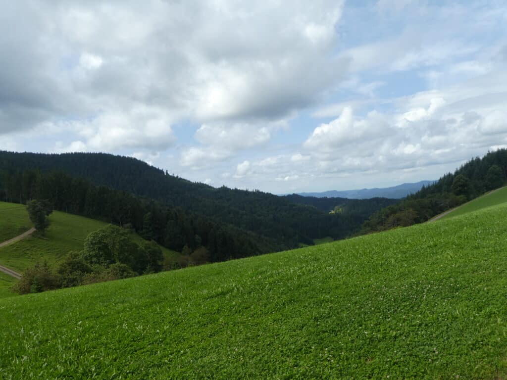 Aussicht Harkhof Schwarzwald