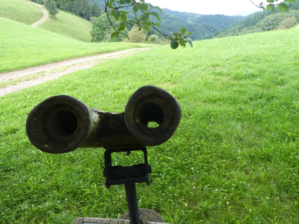 Harkhof Fernglas aus Holz