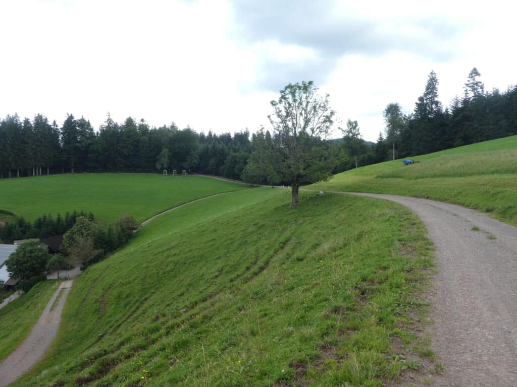 Harkhof