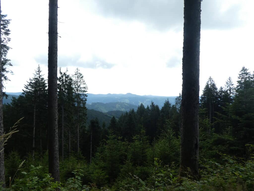 Aussicht