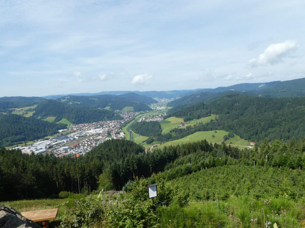 Blick auf Hausach