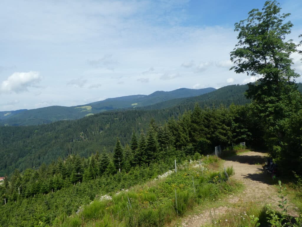 Wanderweg Schwarzwald